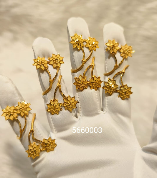 Anillo 0079