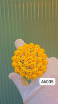 Ring 0067