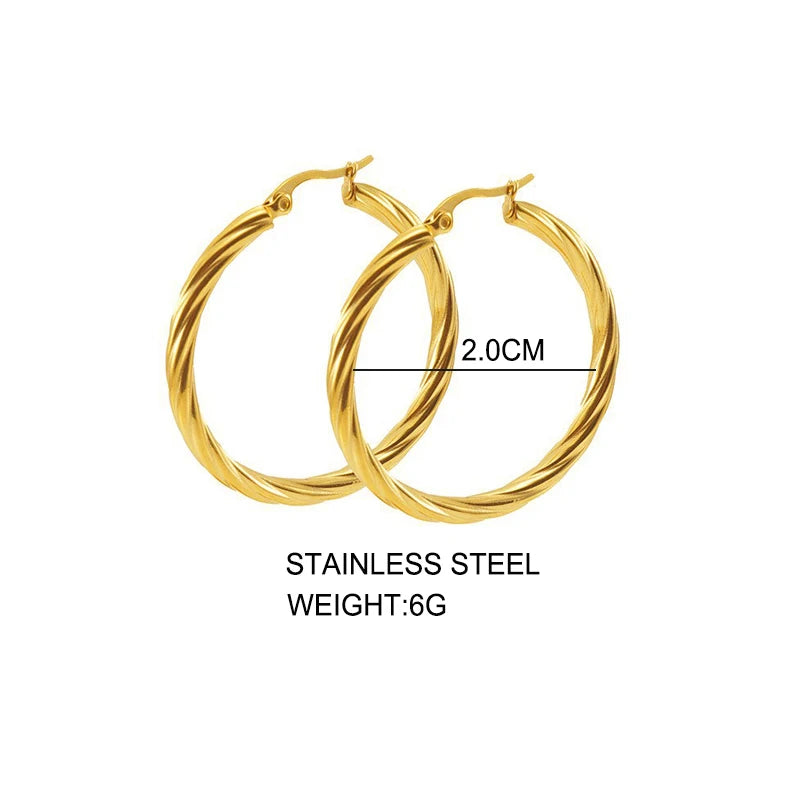 Classic Twisted Round Hoop Earrings – Stainless Steel, Vintage Trend, Gold & Silver