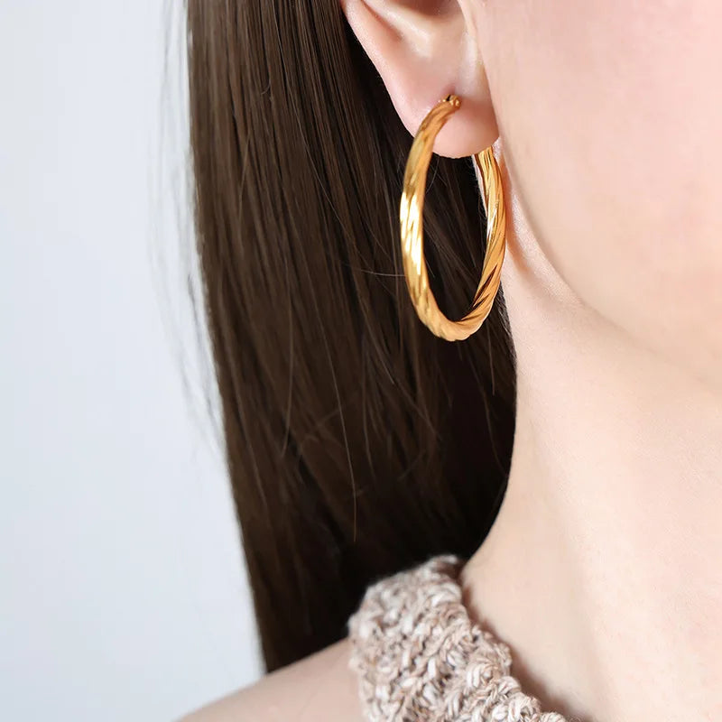 Classic Twisted Round Hoop Earrings – Stainless Steel, Vintage Trend, Gold & Silver