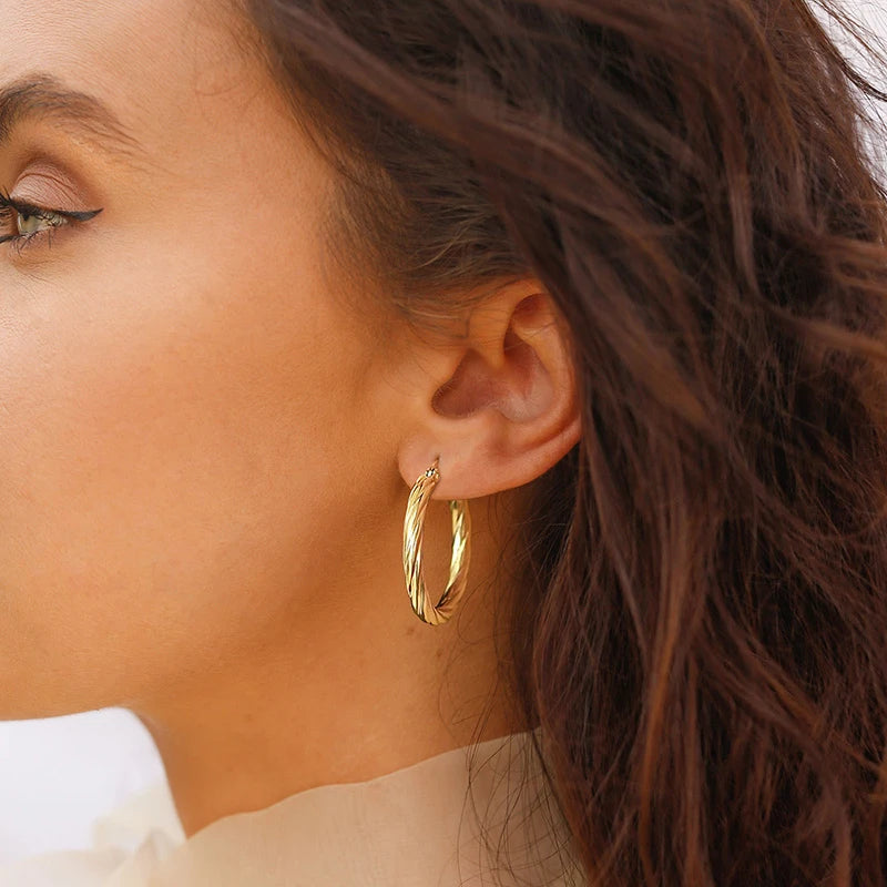 Classic Twisted Round Hoop Earrings – Stainless Steel, Vintage Trend, Gold & Silver